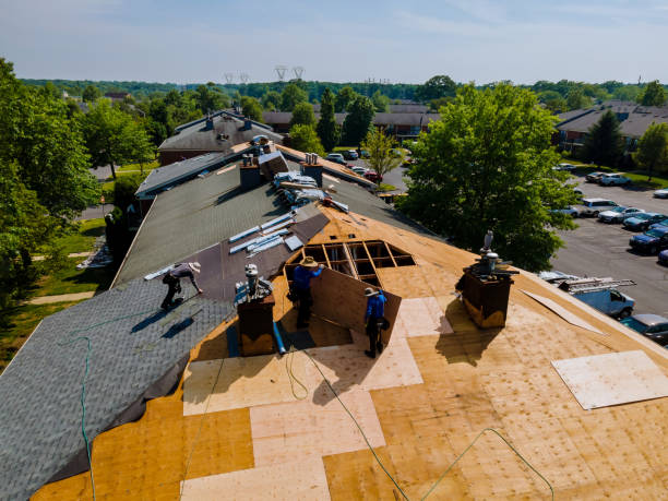 Best Storm Damage Roof Repair  in Huntington Woods, MI