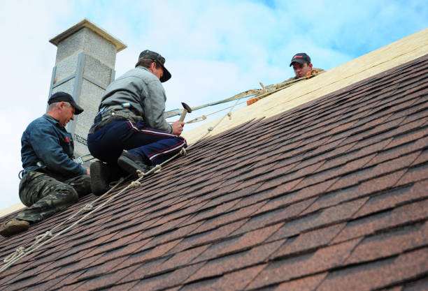 Best Emergency Roof Repair  in Huntington Woods, MI